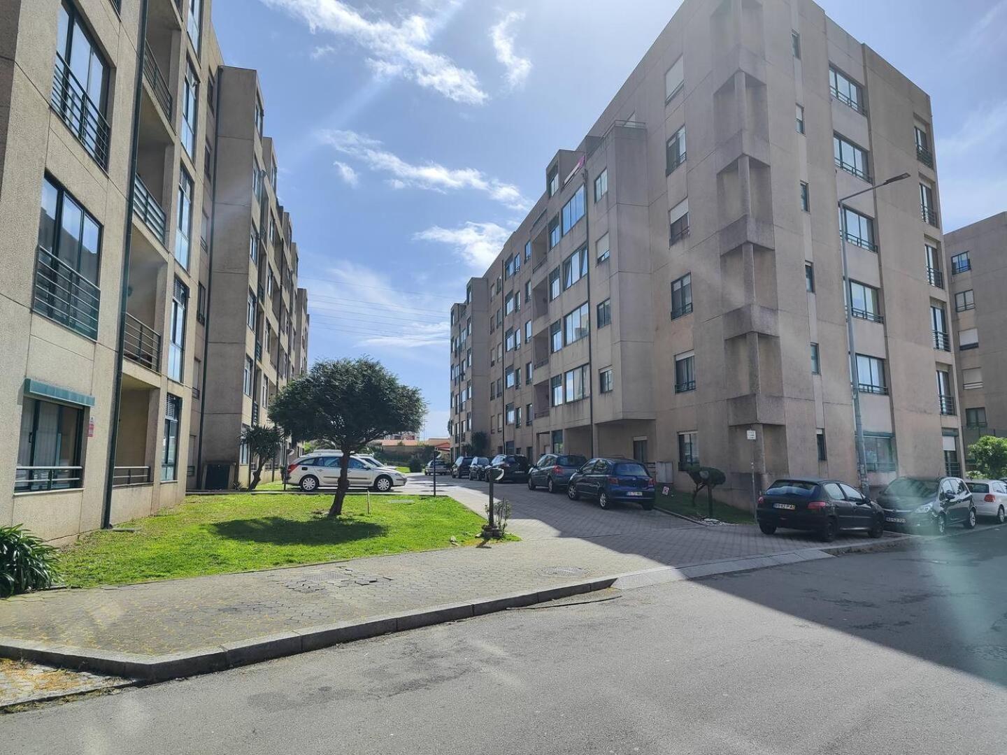 וילה נובה דה גאיה Modern 1Br For 4 - Great For Long Stays, 10 Min To Attractions מראה חיצוני תמונה